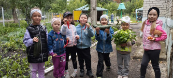 "Урожай собирай и на зиму запасай" "Урожай собирай и на зиму запасай".