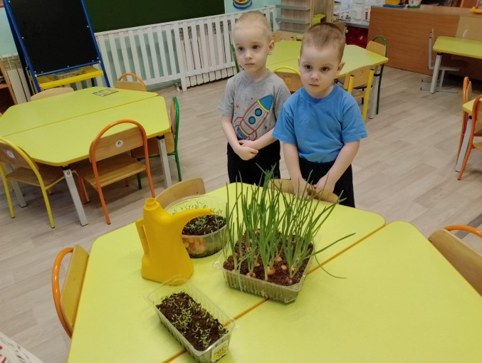 Наблюдаем, развиваем. Наблюдаем, развиваем.